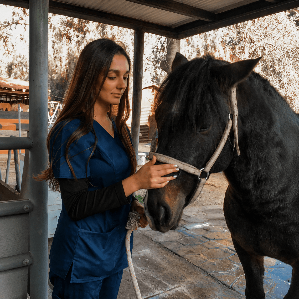La Dra. Monserrat Sacristán, de ambo azul, acariciando el hocico de un caballo negro en una pesebrera techada